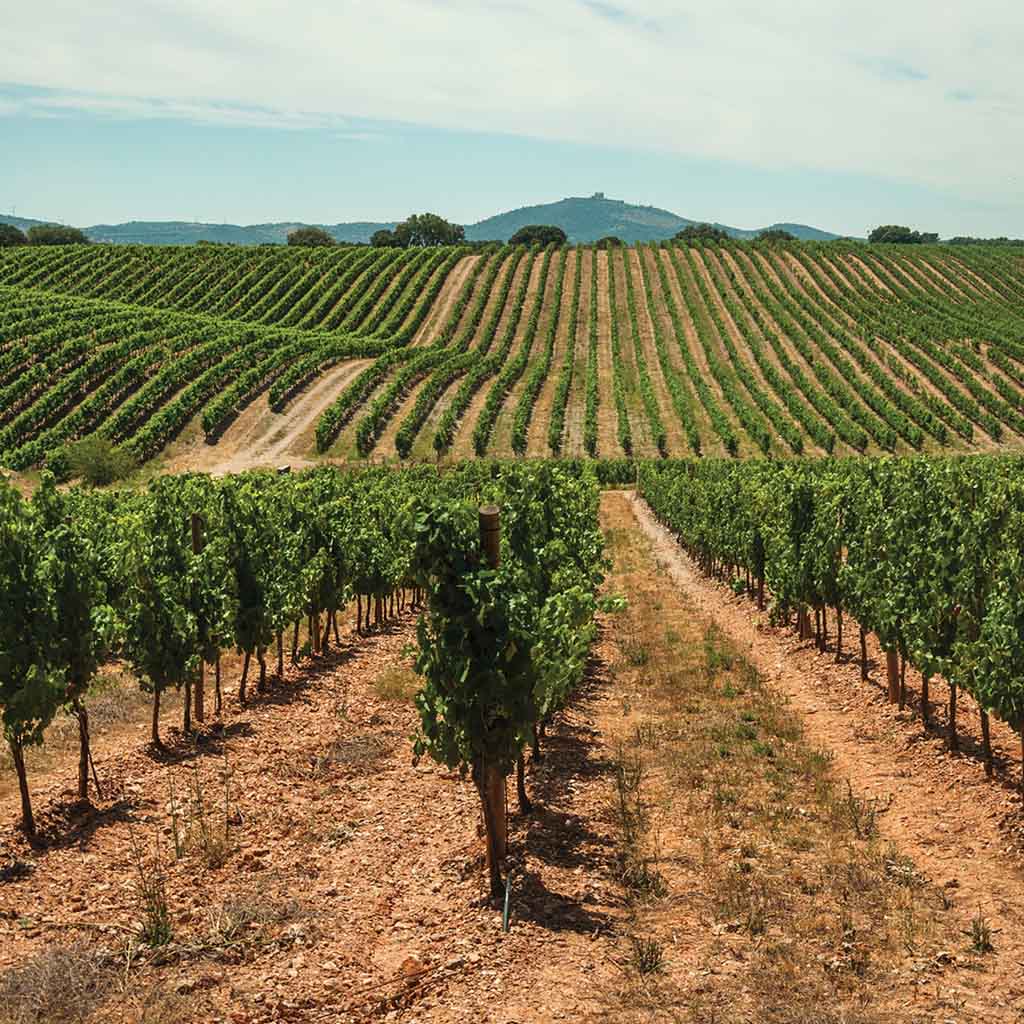 Bodegas La Granadilla Verdejo Viognier 2023