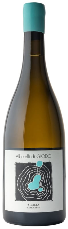 Alberelli di GIODO Sicilia Carricante 2022