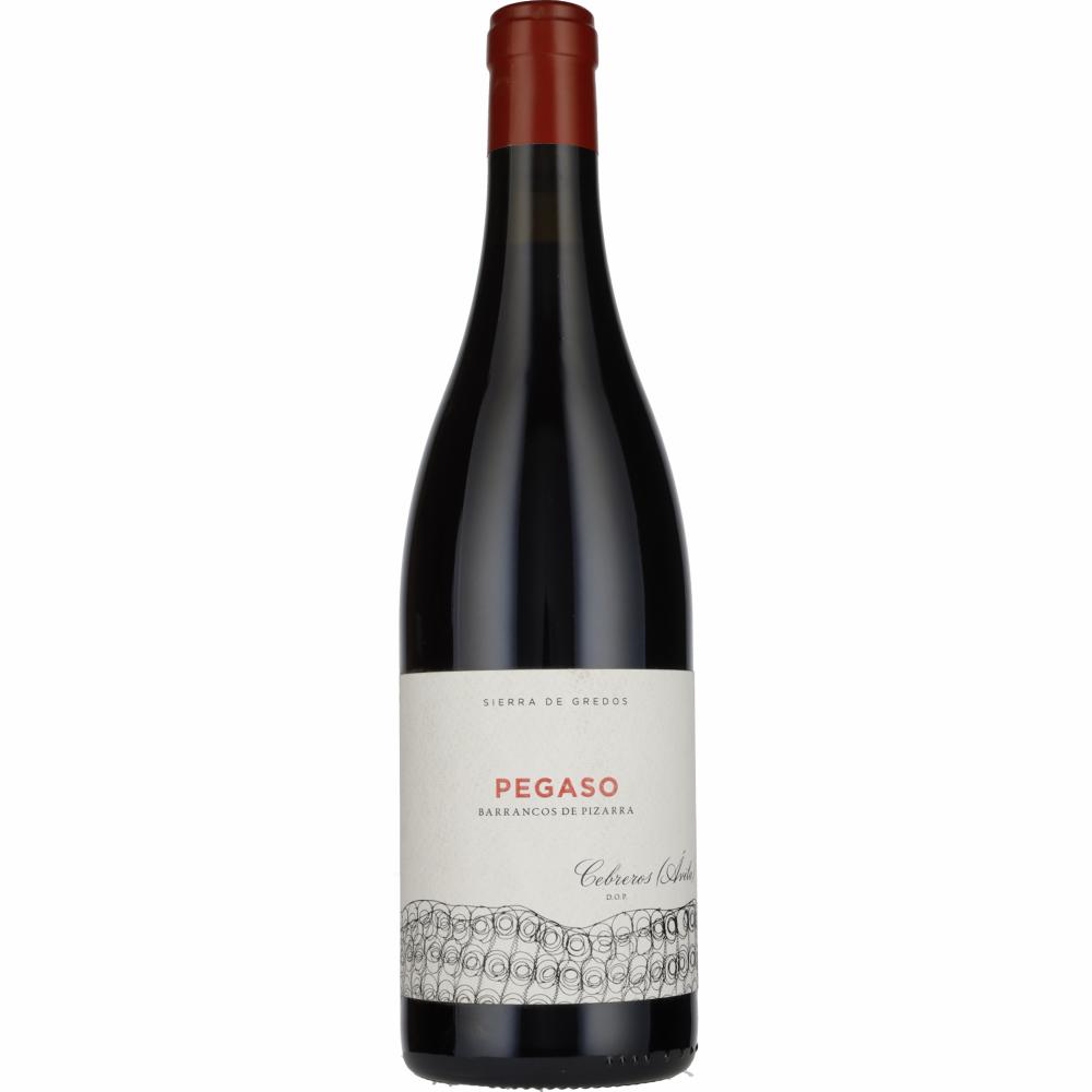 2021 Pegaso Granito Cebreros Telmo Rodriguez 2021