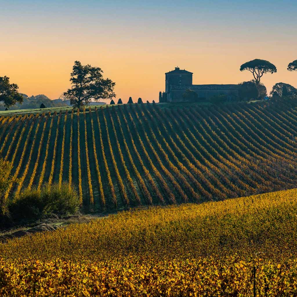 Lamothe Vincent Reserve Rouge 2023